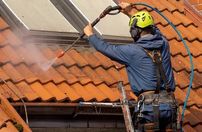 Démoussage et hydrofuge de toiture à Guargualé